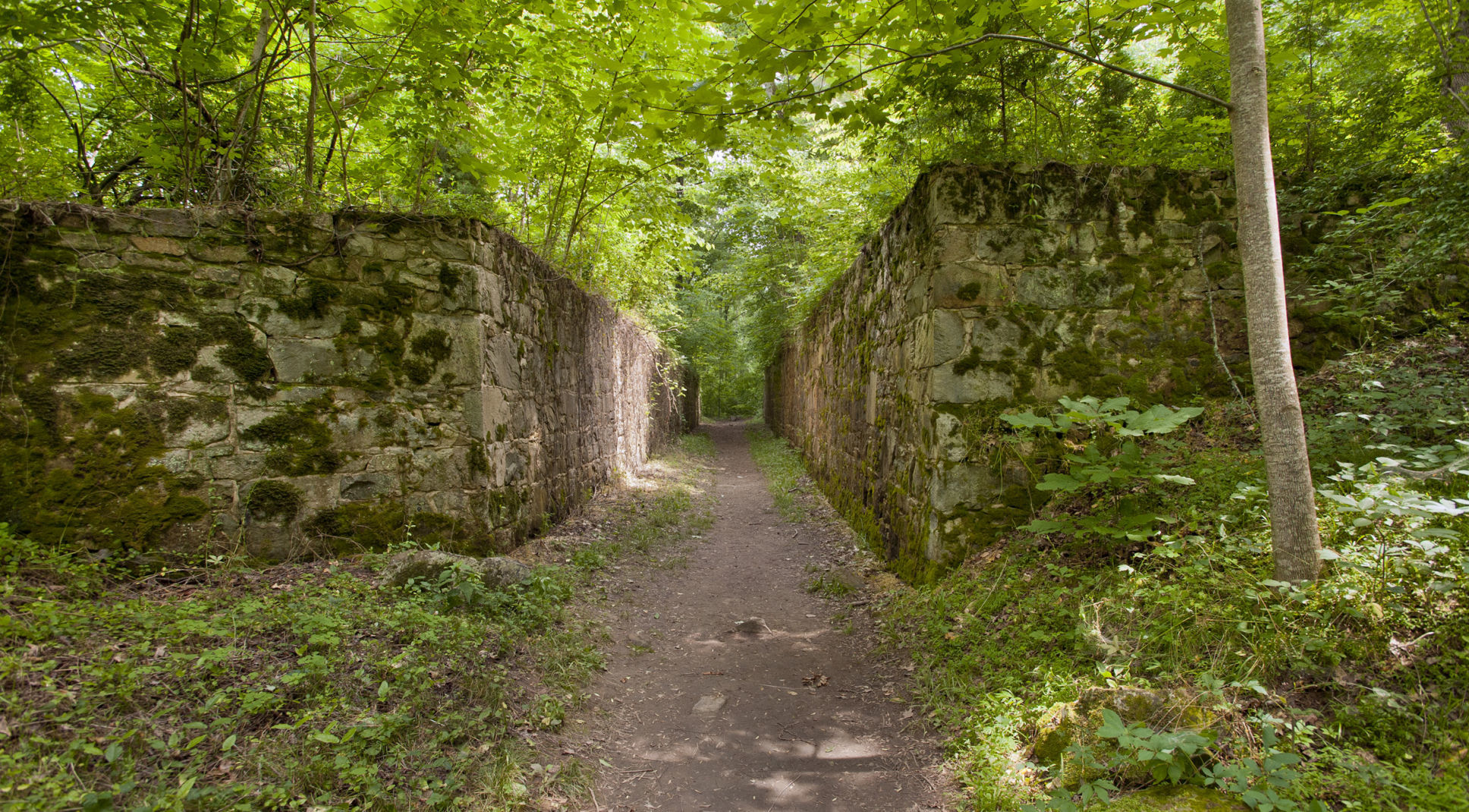 Landsford Canal State Park